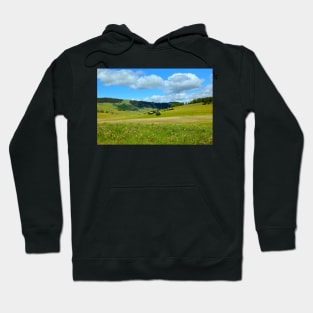 Alpine meadows Hoodie